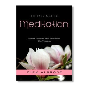 The Essence of Meditation